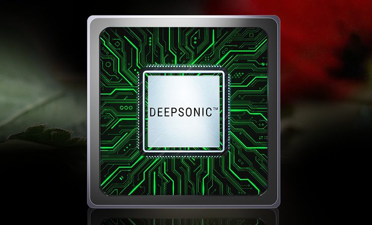  DEEPSONIC AI chip